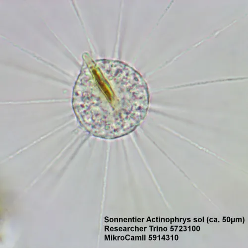 снимка Микроскоп Bresser Researcher Trino 40–1000x,  15