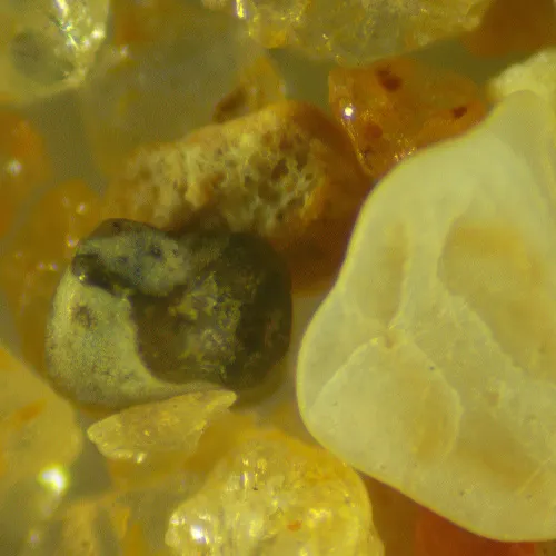 снимка Стереомикроскоп MAGUS Stereo 9T,  21