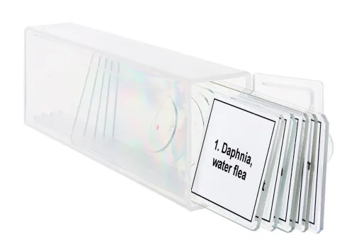 снимка Набор от микропрепарати Levenhuk Discovery Prof DPS 5. „Живот в капка вода“,  5