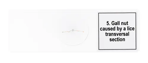 изображение Набор от микропрепарати Levenhuk Discovery Prof DPS 5. „Мутации“,  8