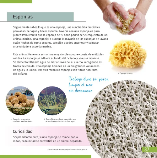 снимка Познавателна книга „Невидимият свят“,  7