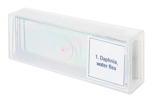 снимка Набор от микропрепарати Levenhuk Discovery Prof DPS 5. „Живот в капка вода“,  4