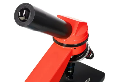 картинка Микроскоп Levenhuk Rainbow 2L,  8