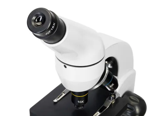картинка Цифров микроскоп Levenhuk Rainbow D50L PLUS 2M, Moonstone (Лунен камък),  9