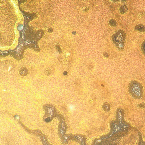 изображение Металургичен инвертиран микроскоп MAGUS Metal V790 DIC,  21