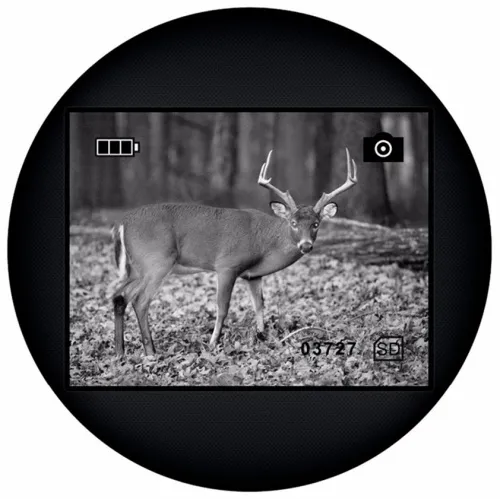 картинка Монокъл за нощно виждане Levenhuk Atom Digital DNM100,  12