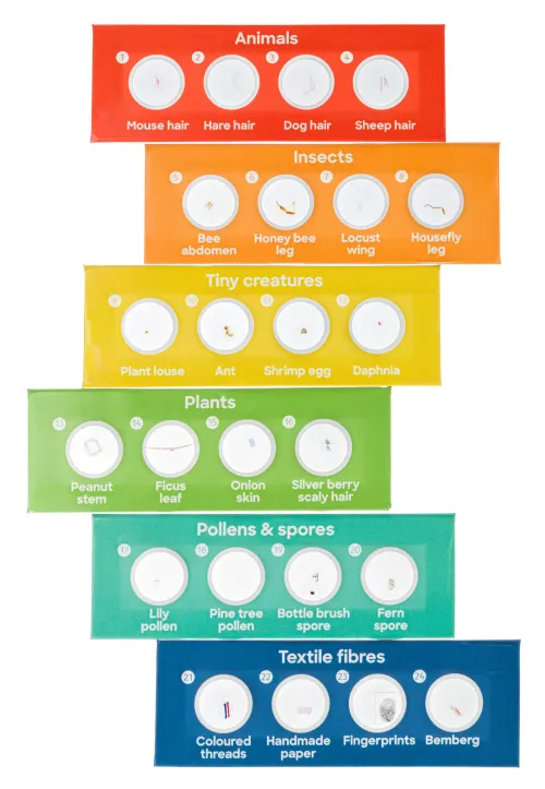 картинка Комплект подготвени проби Levenhuk Discovery Flora & Fauna 24,  3