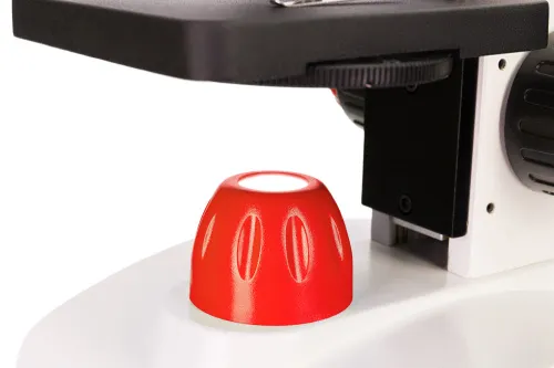 изображение Микроскоп Levenhuk Discovery Pico,  13