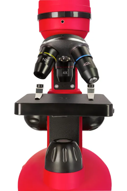 изображение Микроскоп Levenhuk Discovery Nano,  11