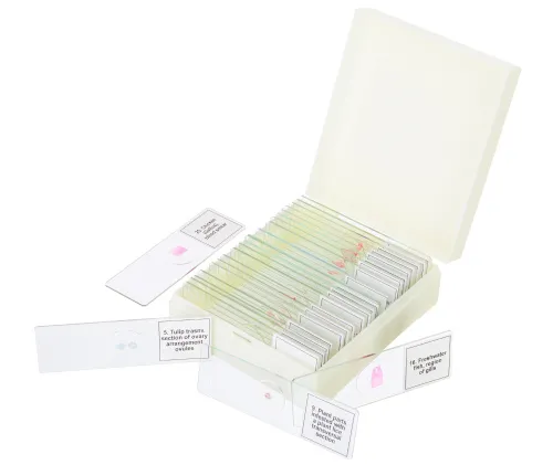 изображение Набор от микропрепарати Levenhuk Discovery Prof DPS 25. „Биология, птици и др.“,  5