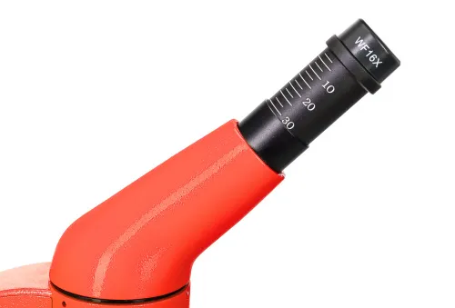 изображение Микроскоп Levenhuk Rainbow 50L PLUS,  12