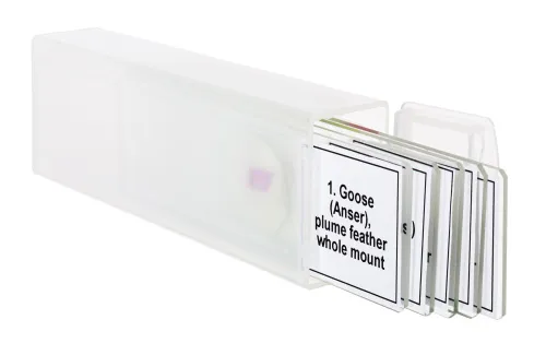 фотография Набор от микропрепарати Levenhuk Discovery Prof DPS 5. „Птици“,  5