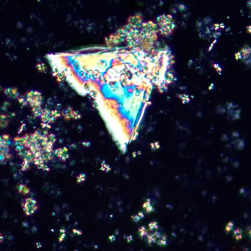 изображение Поляризационен микроскоп MAGUS Pol 850,  21