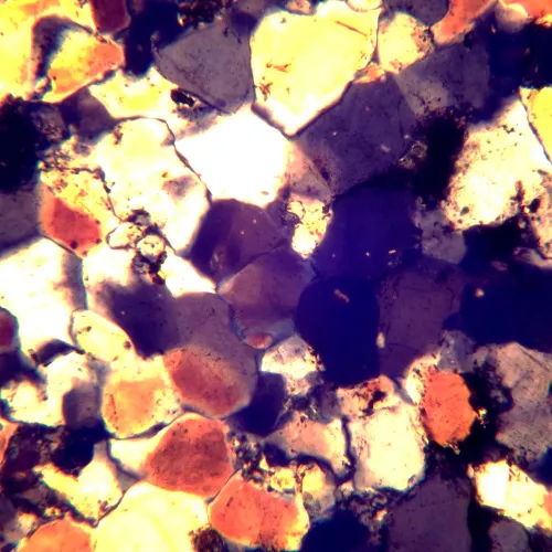 картинка Поляризационен цифров микроскоп MAGUS Pol D850 LCD,  28