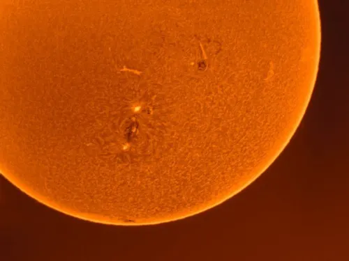 изображение Соларен телескоп Coronado SolarMax III 70 mm със система RichView и BF10,  6