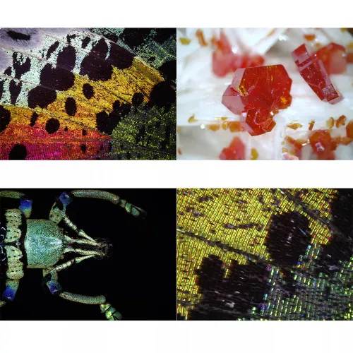 картинка USB цифров микроскоп Bresser DST1028 ,  4