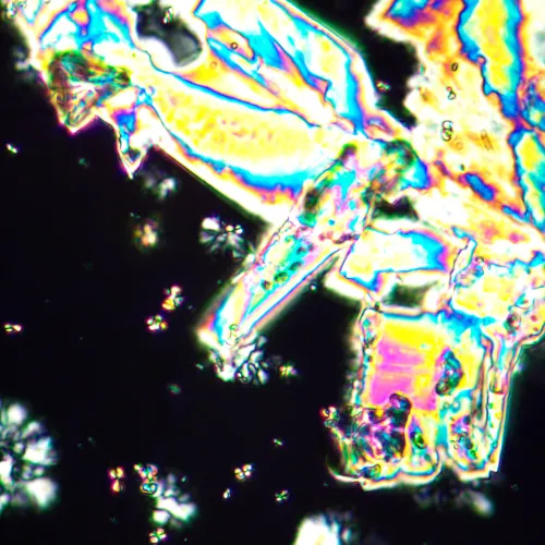 изображение Поляризационен микроскоп MAGUS Pol 890,  25