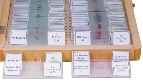 снимка Подготвени проби Bresser, комплект 100 бр., с калъф,  4