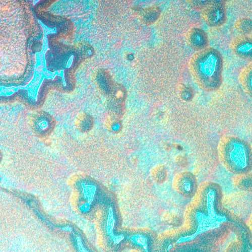 изображение Металургичен инвертиран микроскоп MAGUS Metal V790 DIC,  20