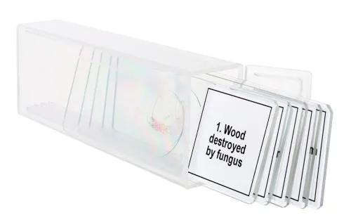 изображение Набор от микропрепарати Levenhuk Discovery Prof DPS 5. „Мутации“,  5