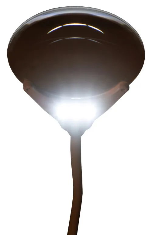 картинка Лупа Levenhuk Zeno Lamp ZL7,  11