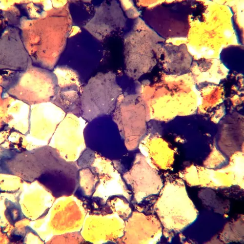 изображение Поляризационен микроскоп MAGUS Pol 890,  26