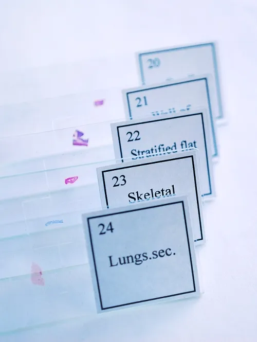 картинка Набор за експерименти Levenhuk K50,  5