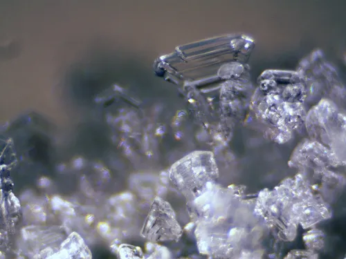 изображение Стереомикроскоп Bresser Erudit ICD,  12