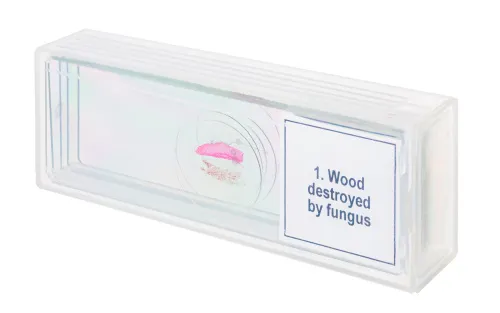 изображение Набор от микропрепарати Levenhuk Discovery Prof DPS 5. „Мутации“,  4