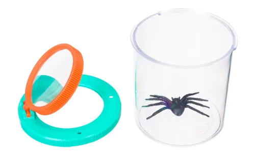 изображение Буркан за насекоми Levenhuk Discovery Basics CN5,  2