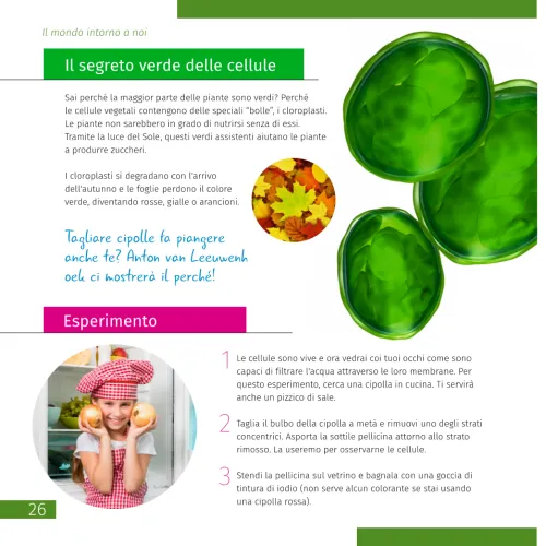 изображение Микроскоп Levenhuk Discovery Pico,  7