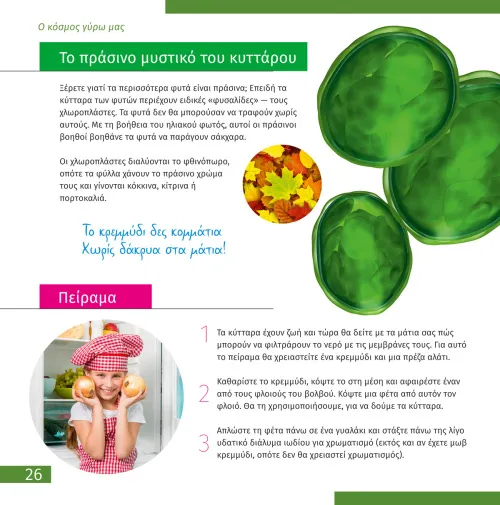 картинка Микроскоп Levenhuk Discovery Atto Polar с книга,  5