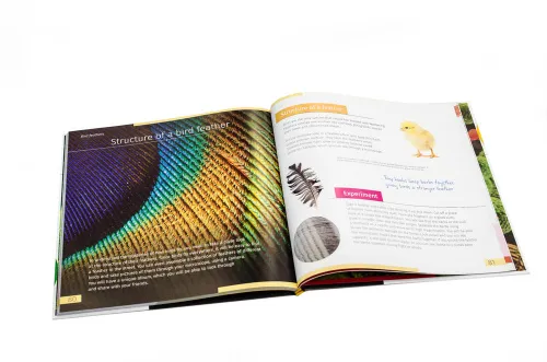 картинка Познавателна книга „Невидимият свят“. С твърди корици,  10