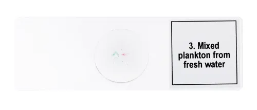 снимка Набор от микропрепарати Levenhuk Discovery Prof DPS 5. „Живот в капка вода“,  7