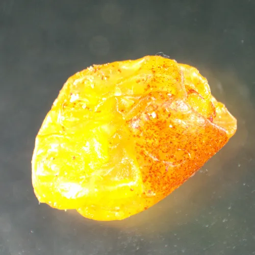 фотография Стереомикроскоп MAGUS Stereo A8,  15