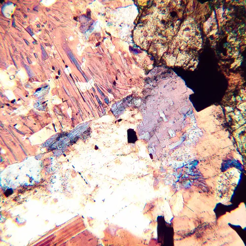 фотография Поляризационен микроскоп MAGUS Pol 800,  16