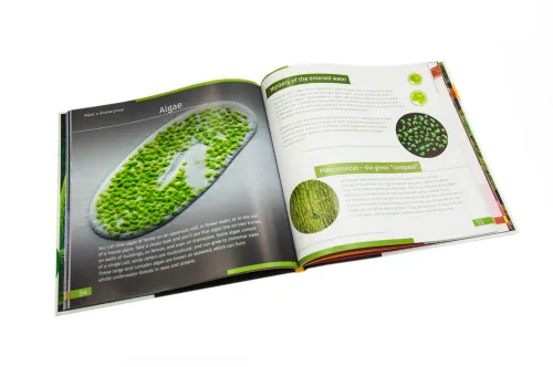 картинка Познавателна книга „Невидимият свят“. С твърди корици,  9