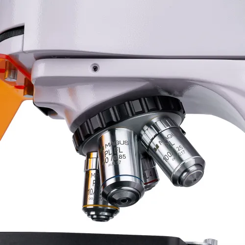 снимка Флуоресцентен цифров микроскоп MAGUS Lum D400,  13