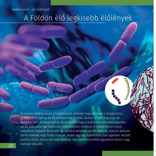 изображение Познавателна книга „Космос. Микросвят“ (двутомно издание). С твърди корици,  5