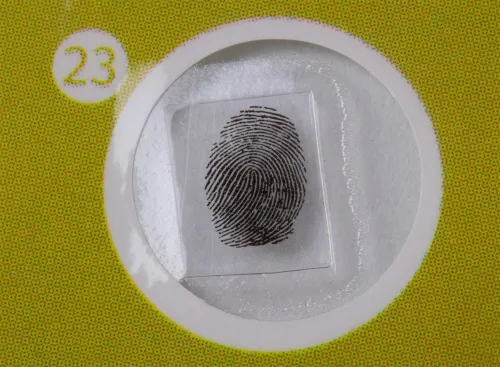 снимка Комплект подготвени проби от растения Levenhuk LabZZ P12,  7