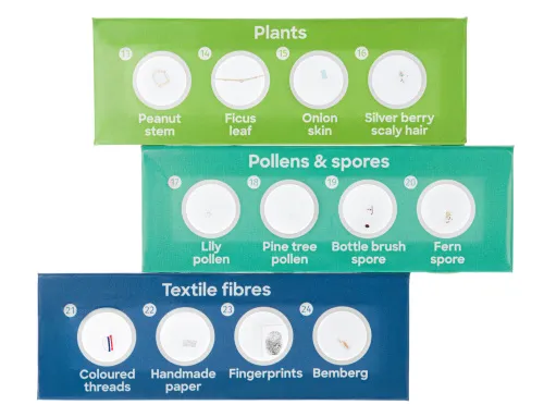 картинка Комплект подготвени проби Levenhuk Discovery Flora 12,  3