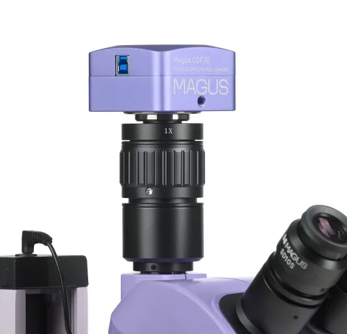 изображение Цифров стереомикроскоп MAGUS Stereo D7T PLUS,  4