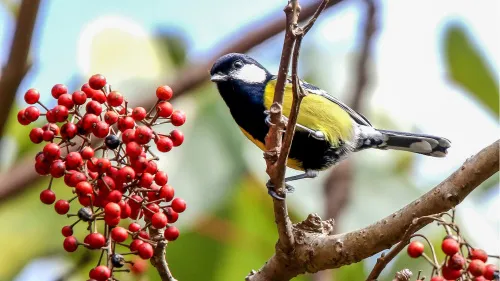 картинка Фототелескоп Levenhuk Kelvin MAK127 AZ GOTO Wi-Fi,  13