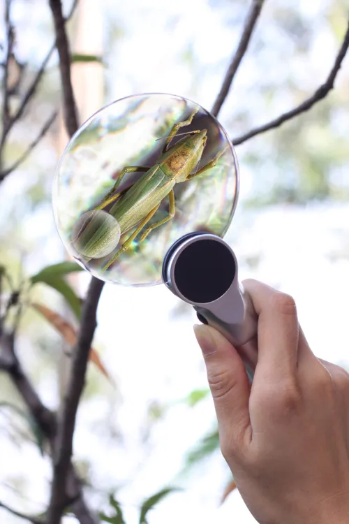 картинка Лупа Levenhuk Zeno 400 LED, 2/4x, 88/21 mm, метал,  9