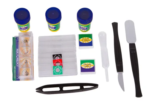 изображение Микроскоп Levenhuk LabZZ M2,  10