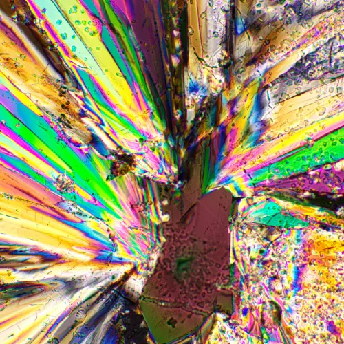 снимка Комплект поляризатор/анализатор MAGUS SPD1,  4