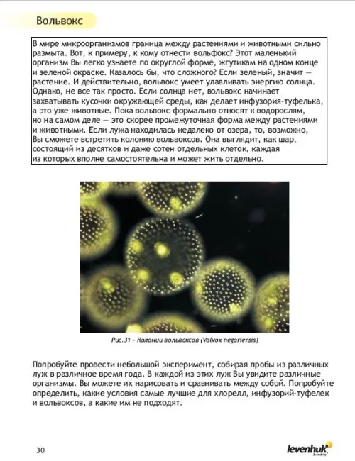 картинка Набор за експерименти Levenhuk K50,  10