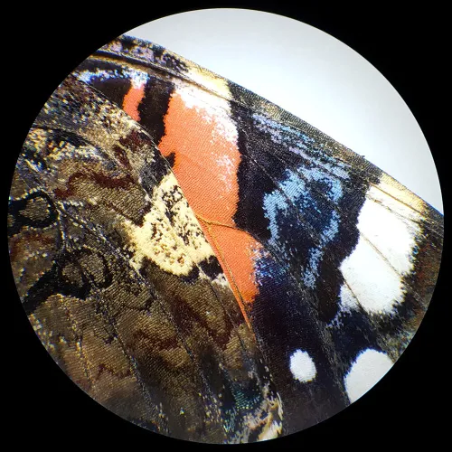 картинка Стереомикроскоп Bresser Analyth STR 10x - 40x,  6