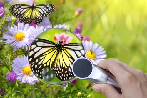 картинка Лупа Levenhuk Zeno 400 LED, 2/4x, 88/21 mm, метал,  7