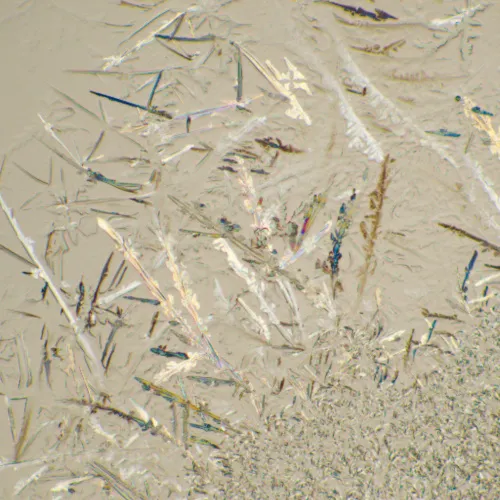 снимка Биологичен цифров микроскоп MAGUS Bio D230T LCD,  29